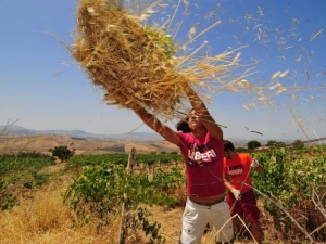 A Polistena un&#039;estate &quot;consapevole&quot; con i campi di Libera